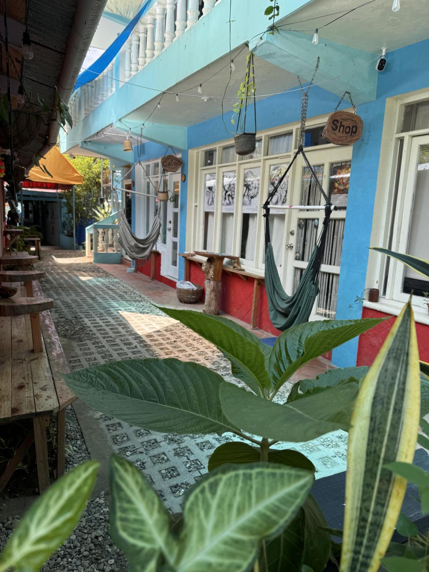 Wing Camp Hostel Cabarete Exterior foto